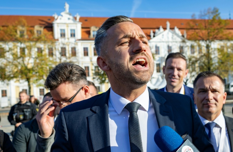 Germany's AfD passes motion against Ukraine aid in regional parliament