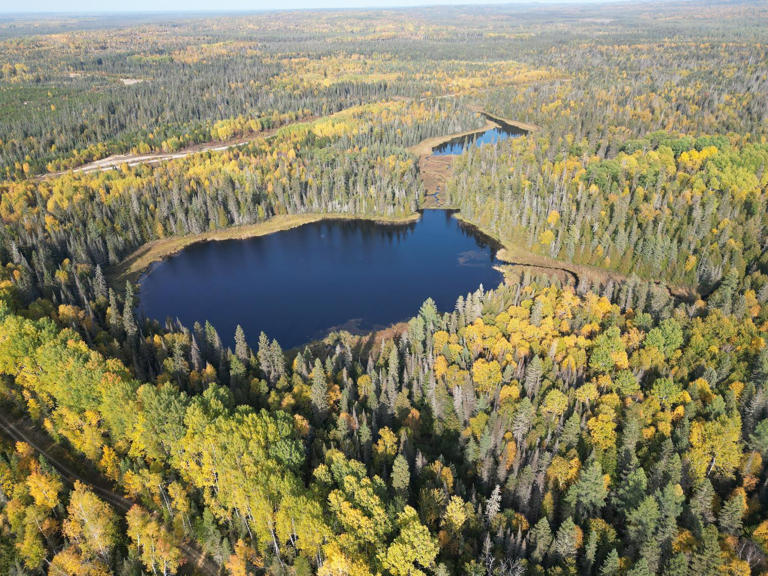 Une grande étendue de forêt protégée au sud de Kapuskasing