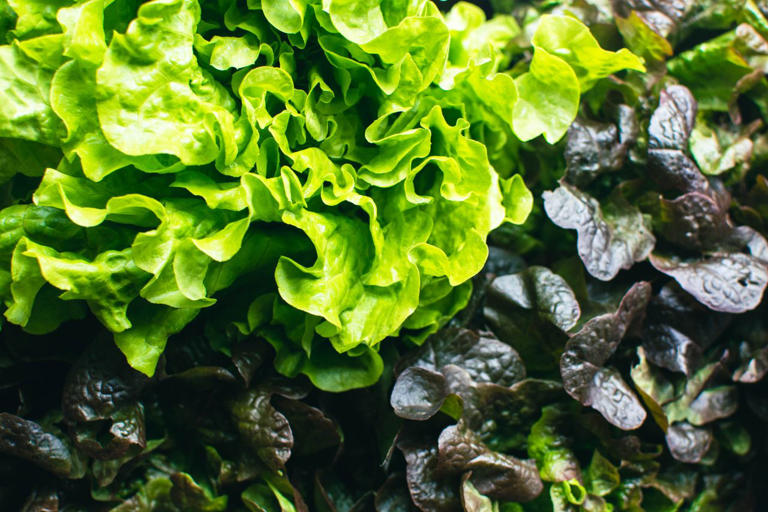 Cardiologists share the 7 foods they eat for lower blood pressure