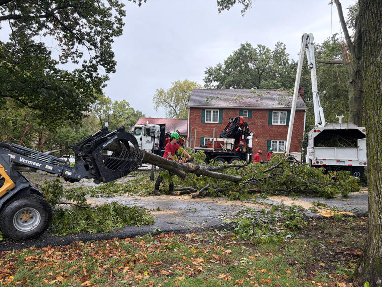 Crews clean up downed trees across Northland after rare October storm
