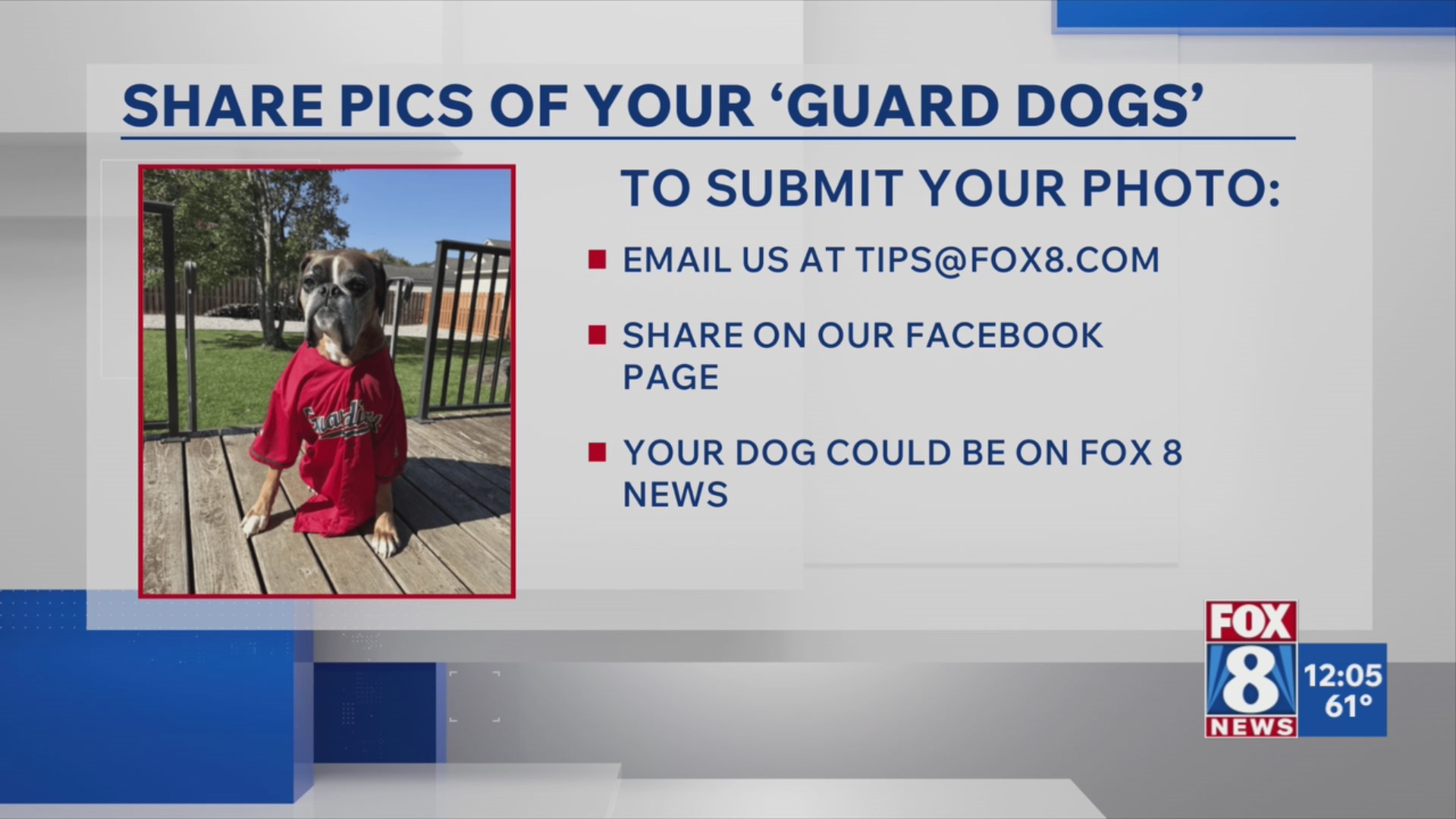 Calling all guard dogs