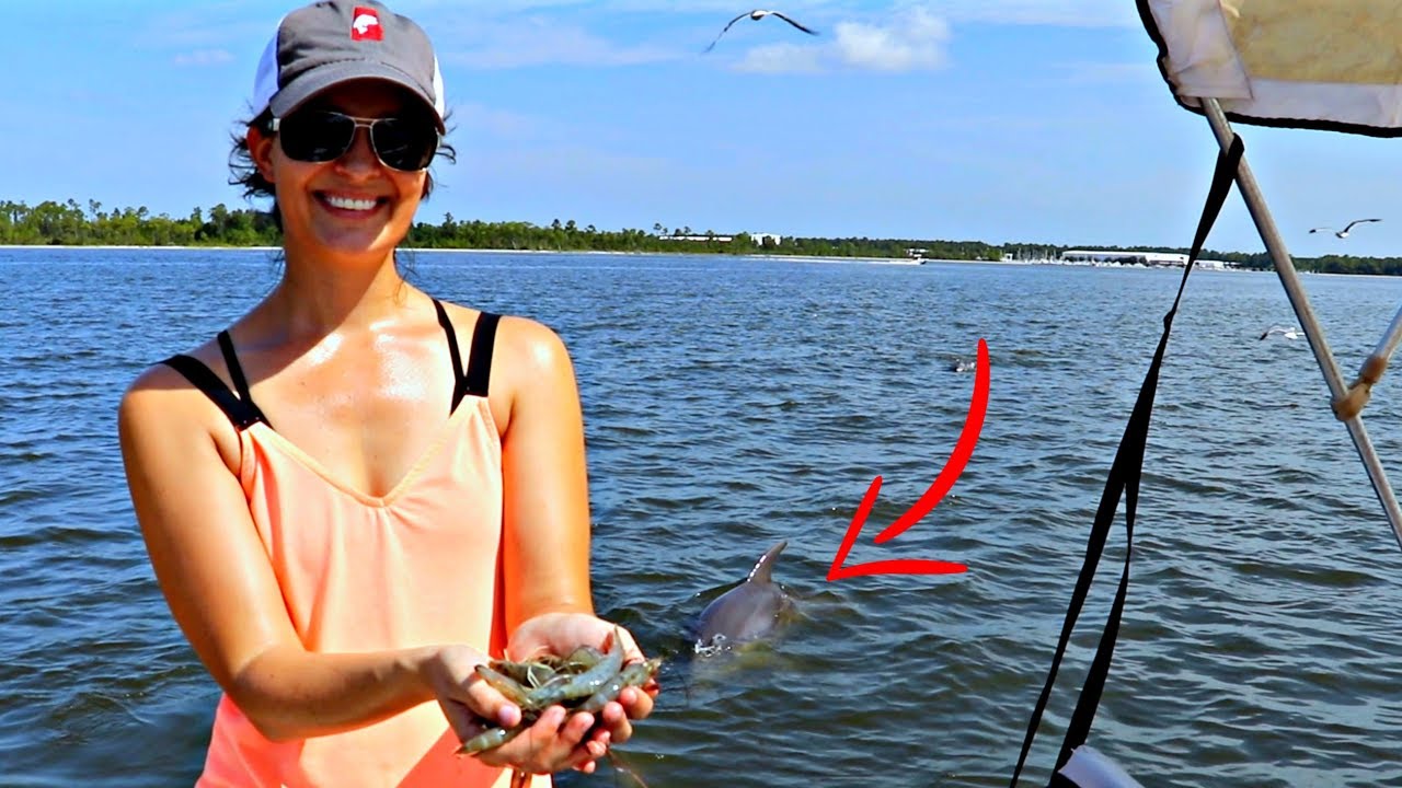 I followed dolphins to the perfect spot
