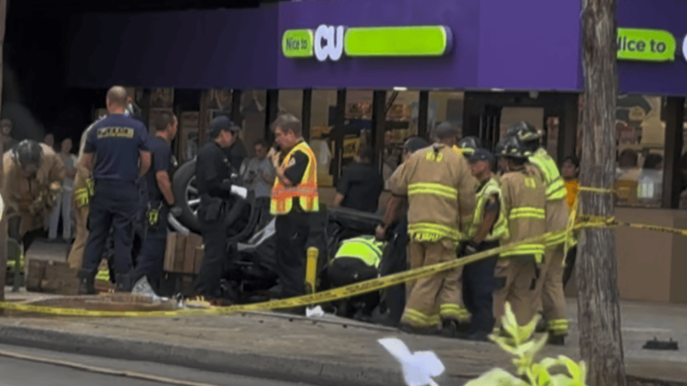 San Jose woman dies in Honolulu after car plummets from downtown ...