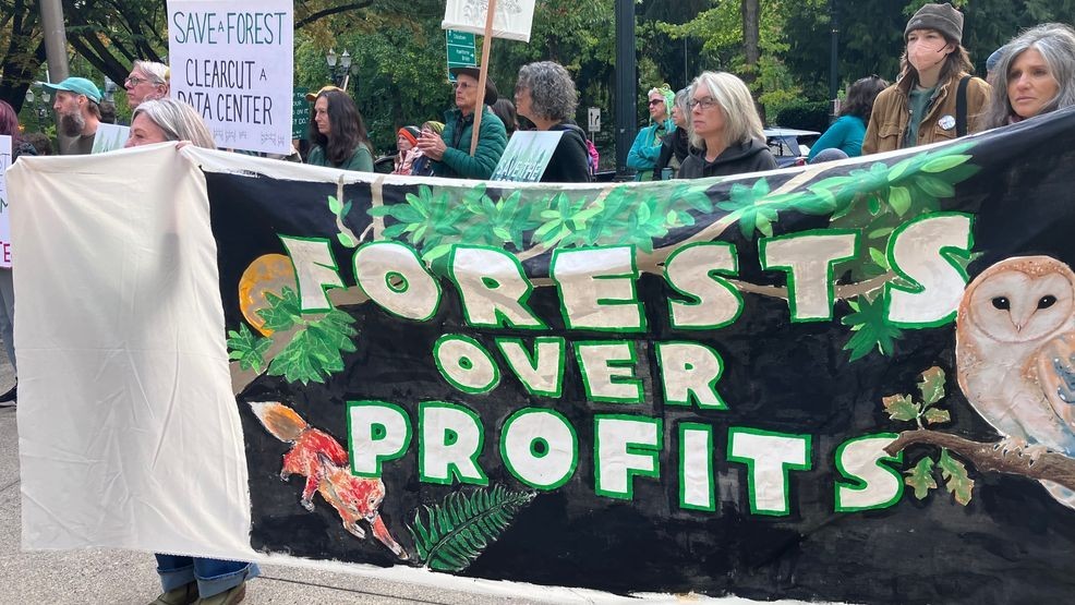 Group rallies against controversial PGE transmission line project in ...