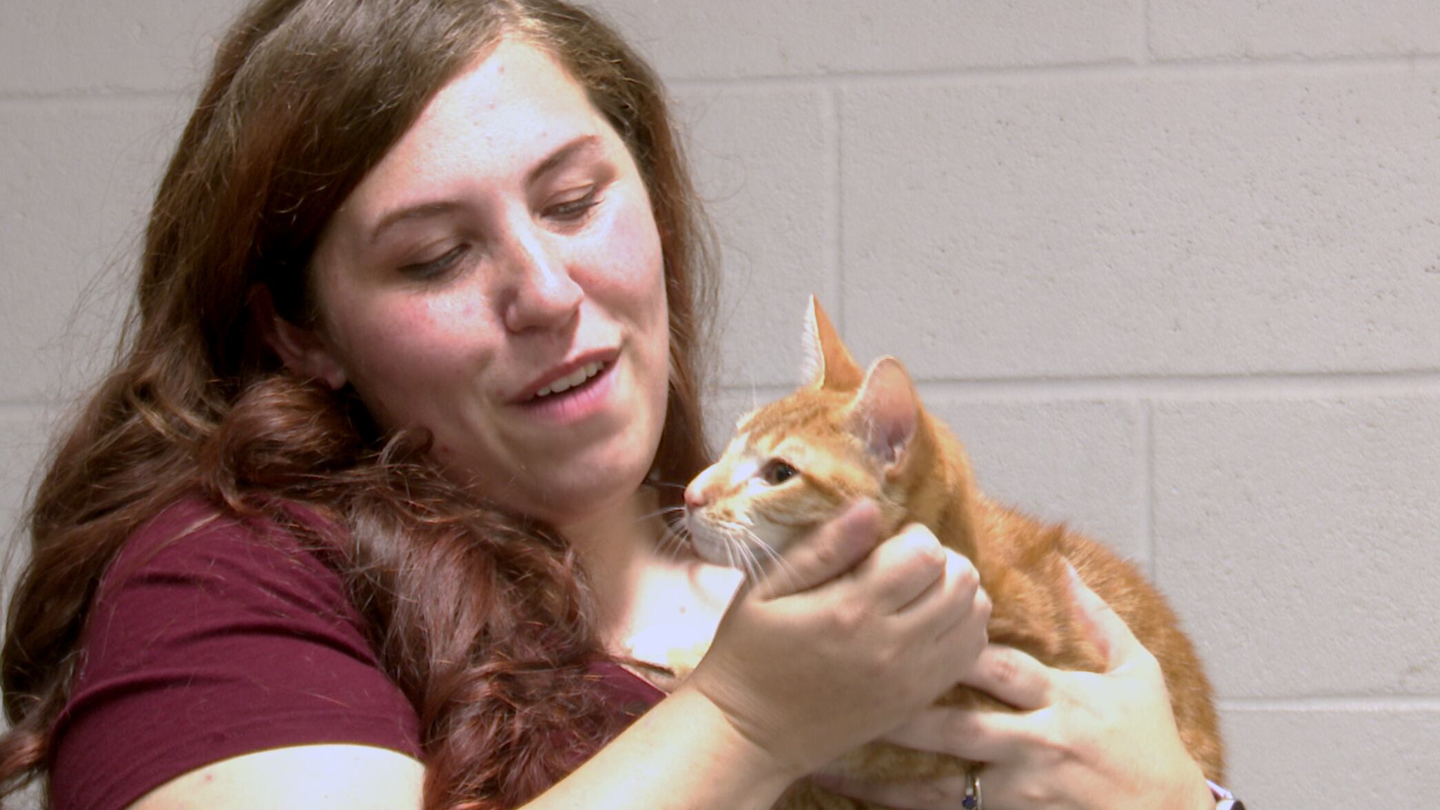 Augusta Animal Services appeals for help amid rise in pet surrenders