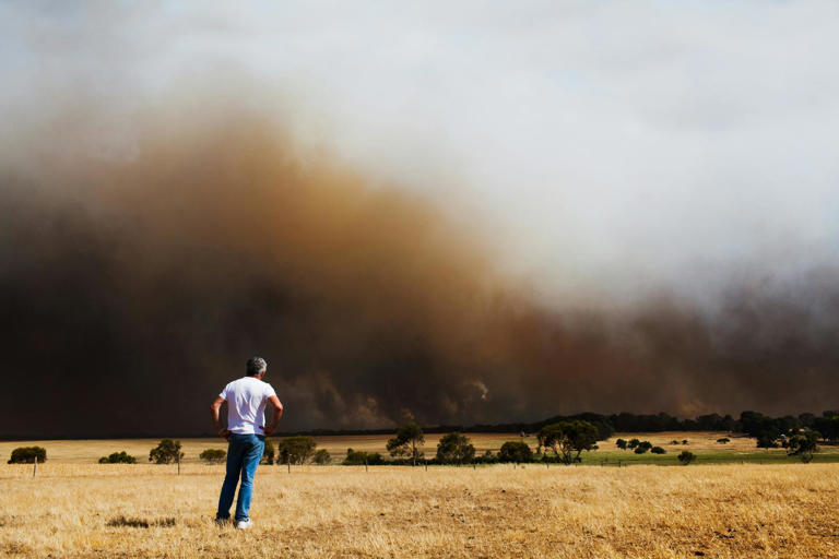 Australia urgently needs a national bushfire database. Here’s what it ...
