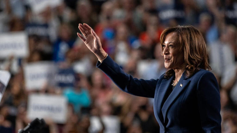 For Kamala Harris, the midterms offer a test no 2028 poll can provide