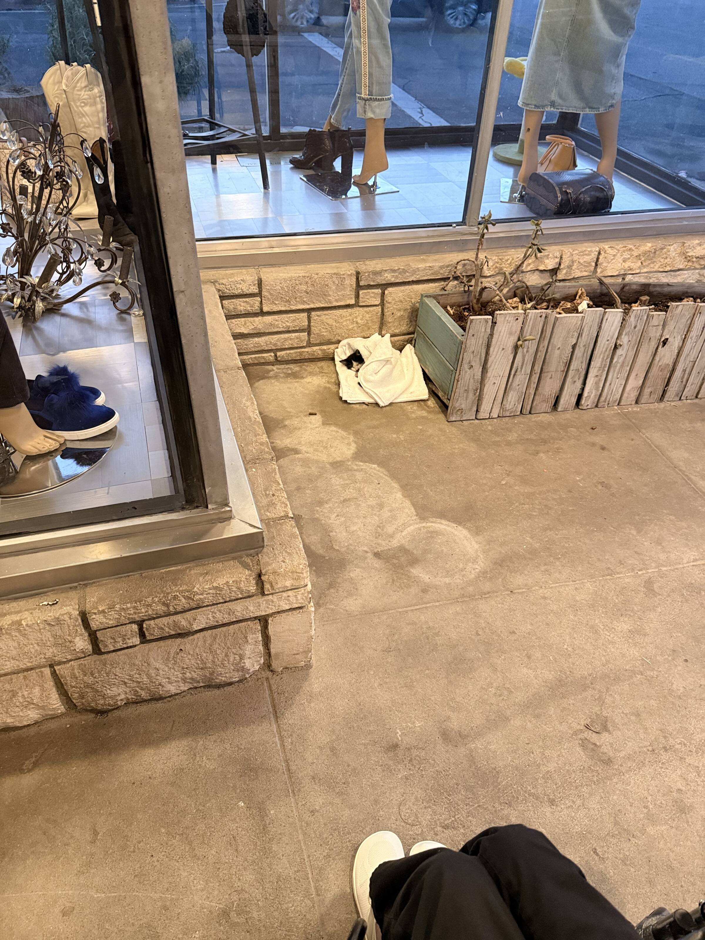 Cafe owner shows up to find a tiny baby wrapped in a towel on shop's doorstep