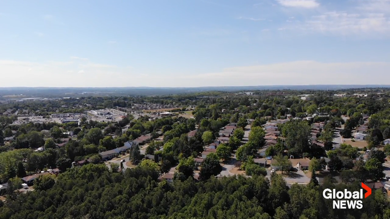 Peterborough municipal election: Ward 2 Monaghan profile