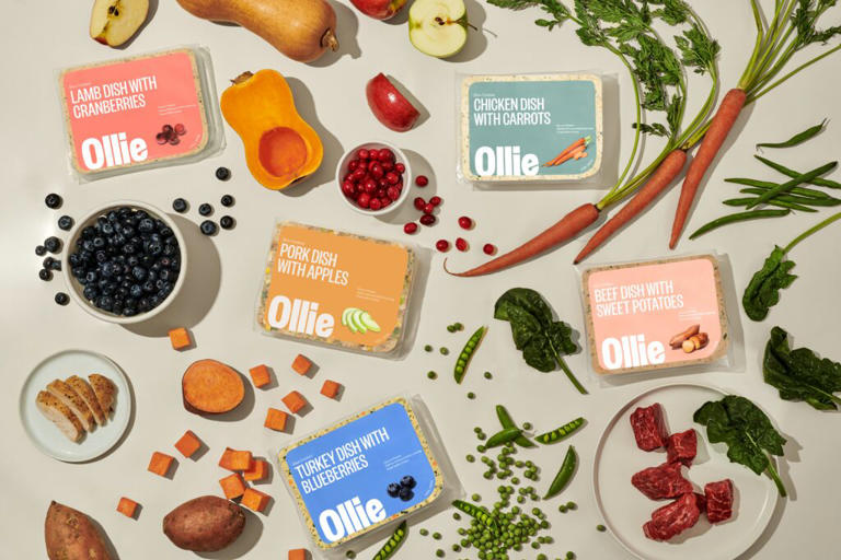 Ollie dog food 70% off first box + free gifts!