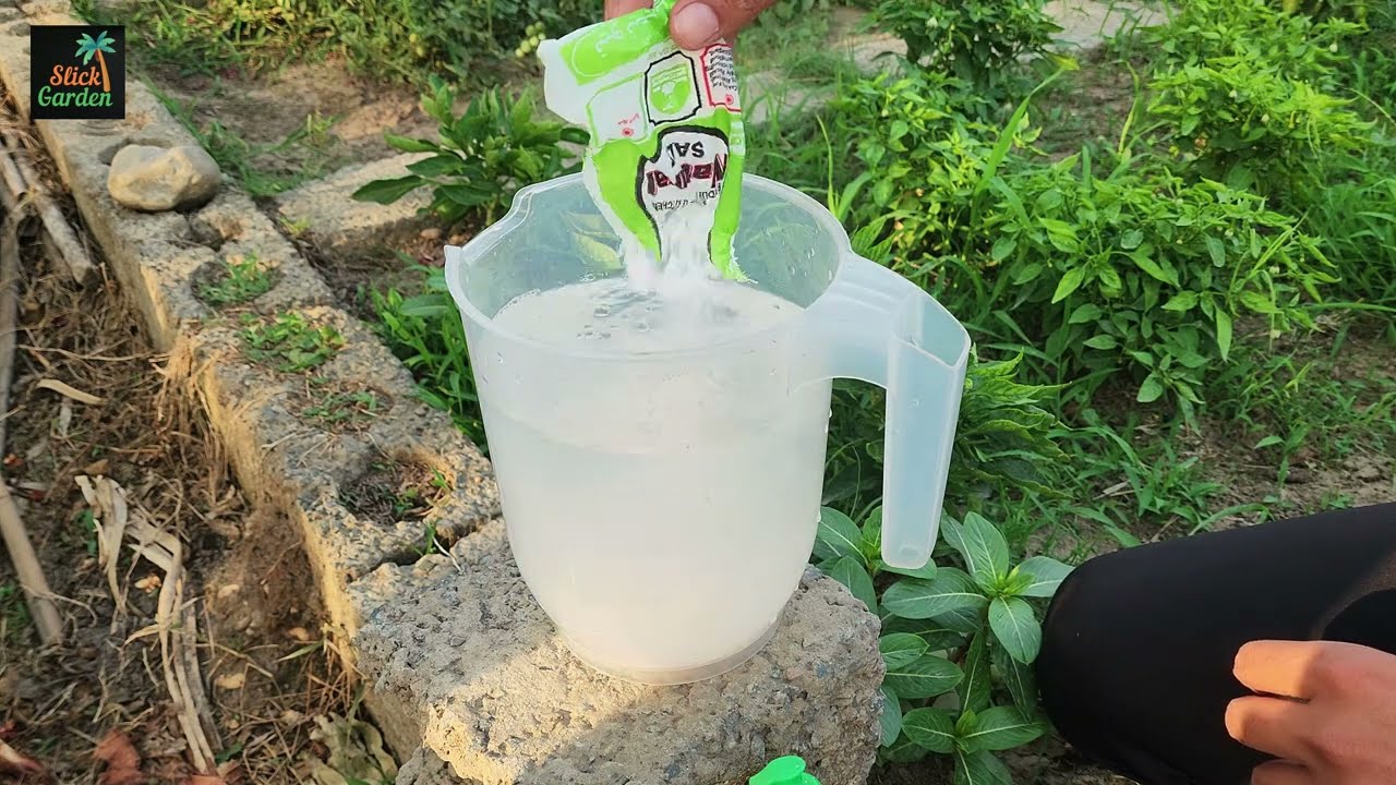 Homemade weed control sprays and their effects on garden plants