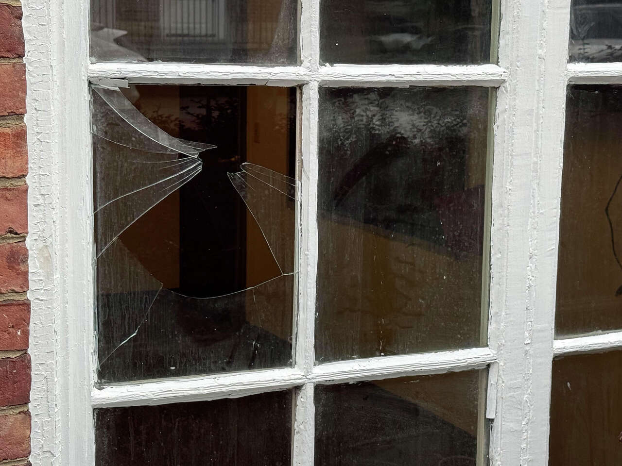 Democratic campaign office in Albany vandalized with smashed window