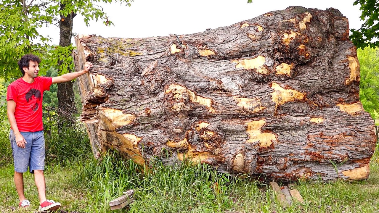My giant log project revealed! 🌳