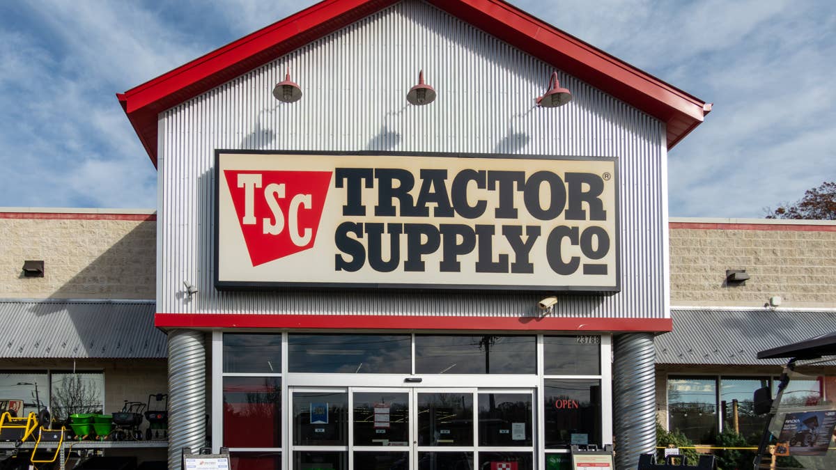 Turn your dog into a pastoral icon with Tractor Supply's $14 Highland ...