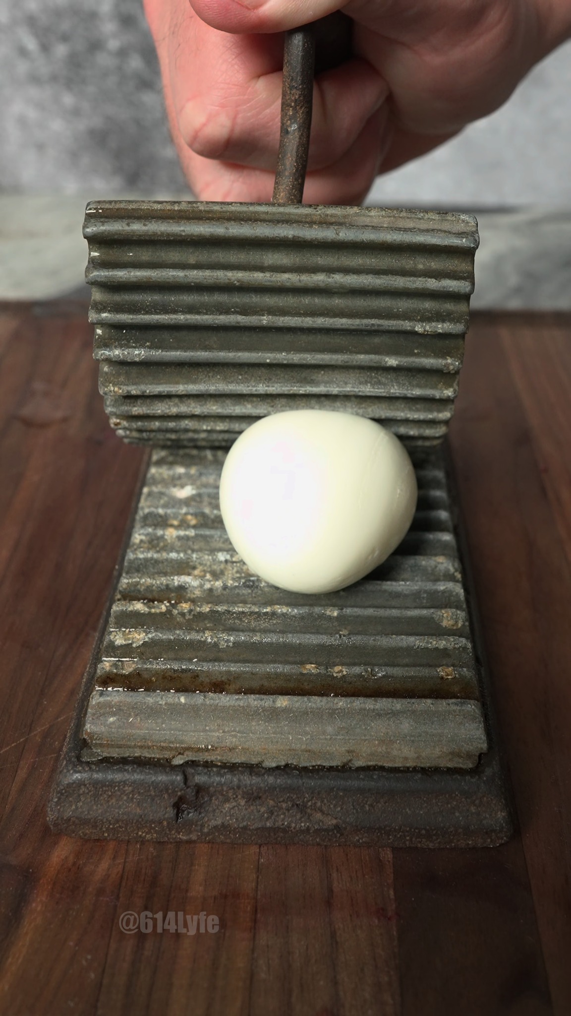 Bird egg vs hand press ASMR