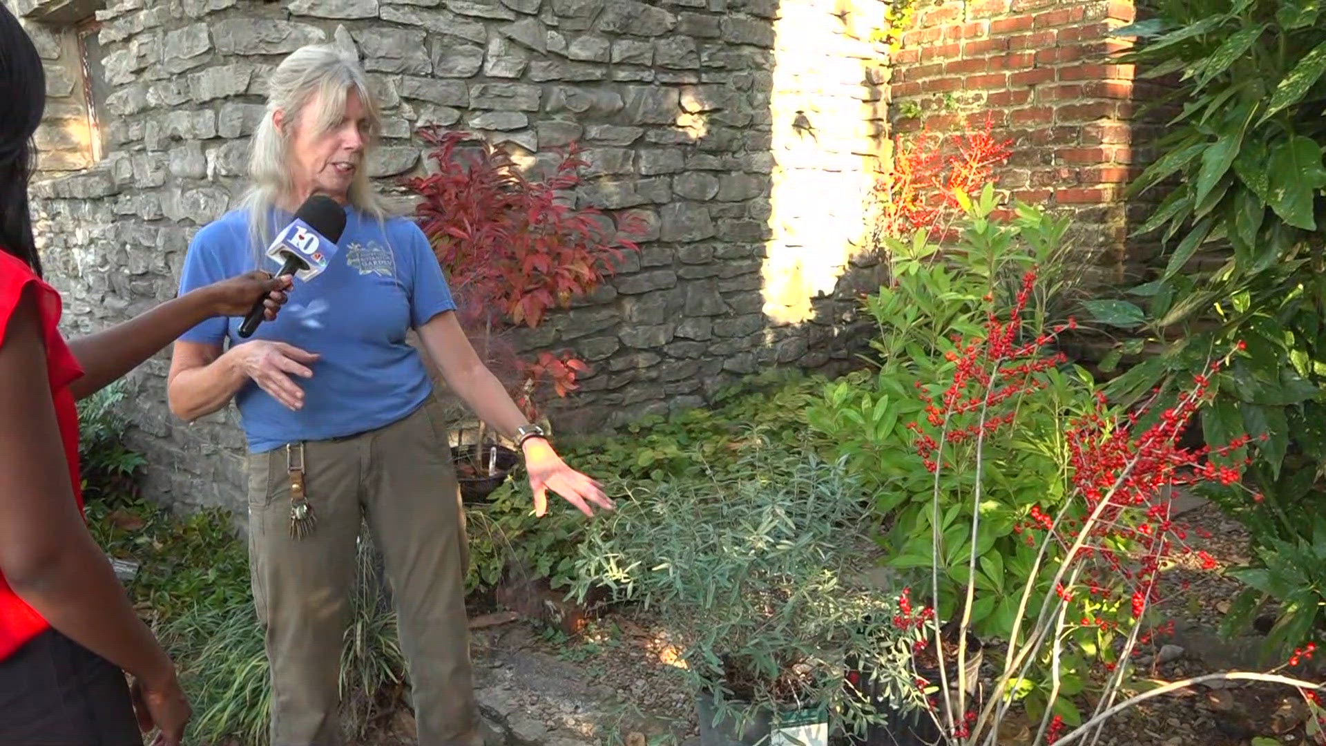 Knoxville Botanical Garden's fall festival offers fun and chance for plants