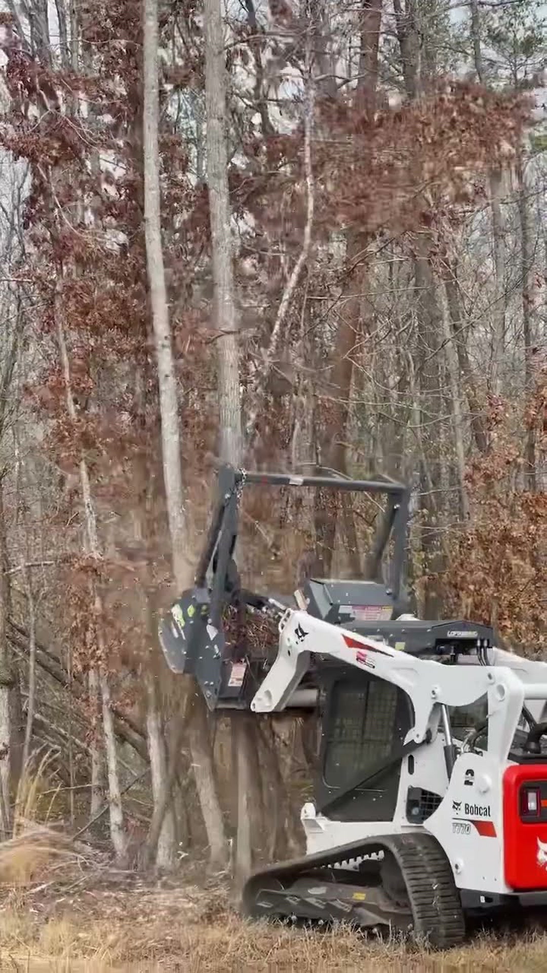 Forestry mulcher cleaning pasture and fence lines