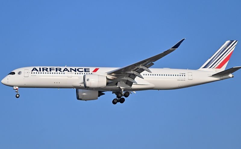 Air France bans Pakistani pilots from Israel flights after security ...