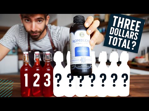 Save money with homemade kombucha