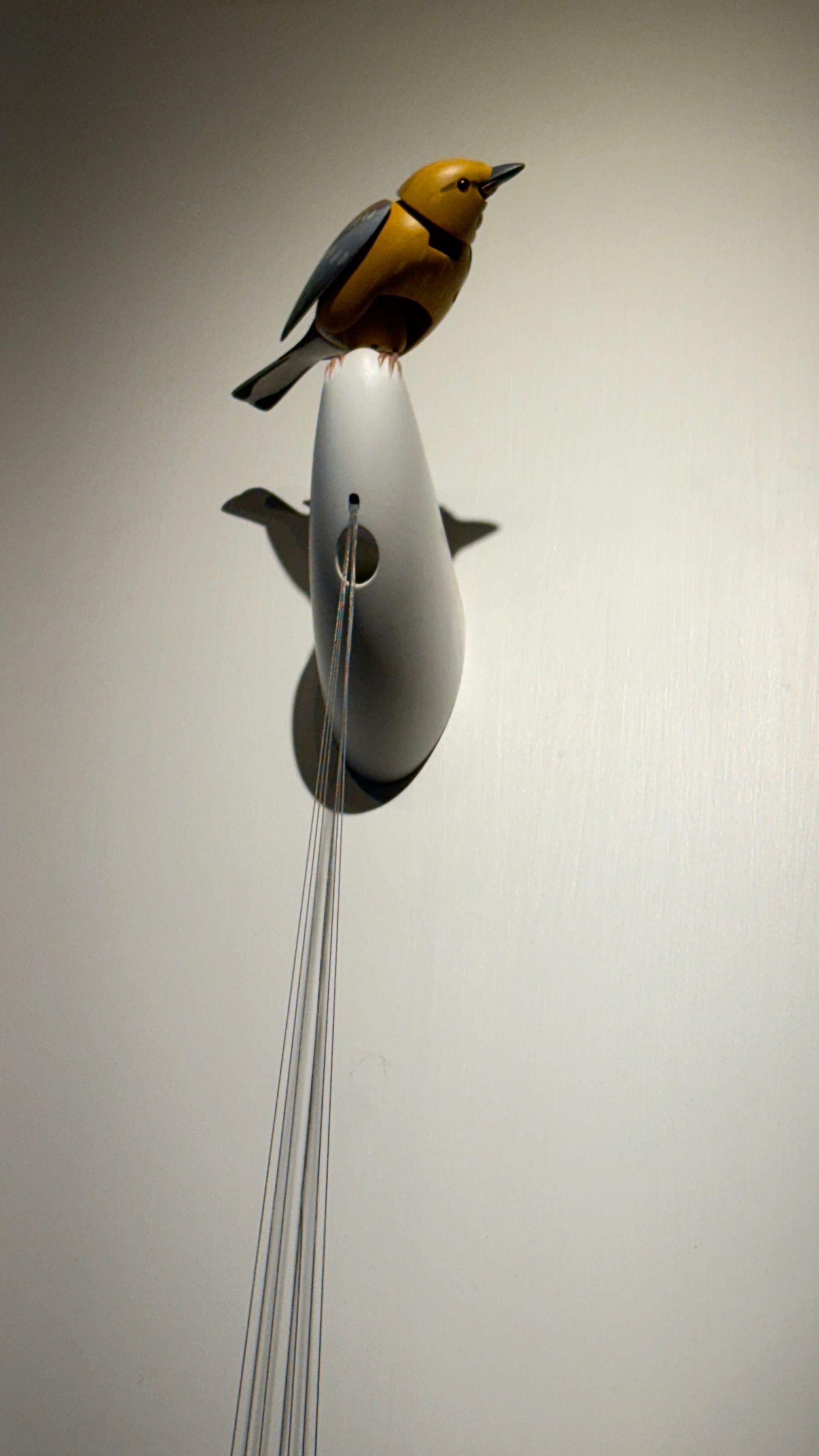 Brooklyn novelty shop reeling from surreal row with Kelly Clarkson over $15m bird