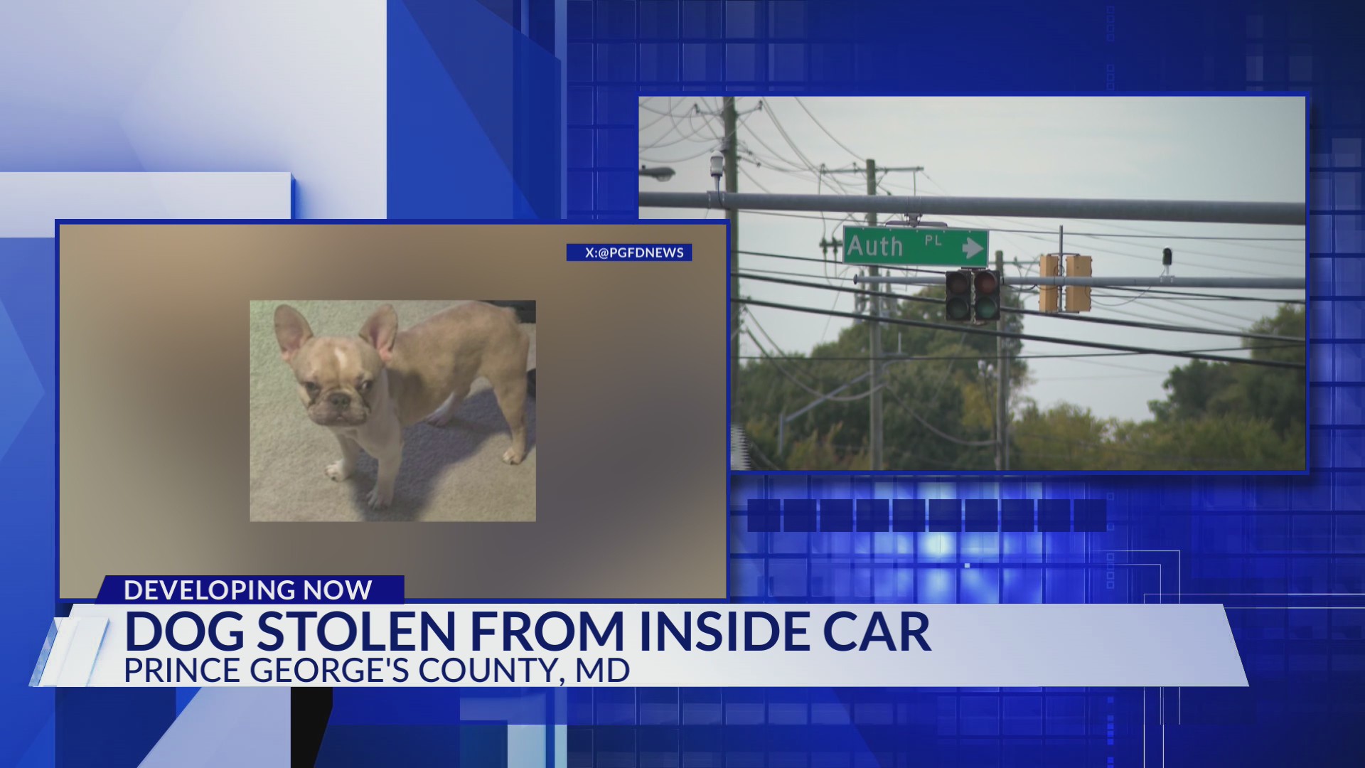 Prince George's County police search for French bulldog stolen in Camp ...