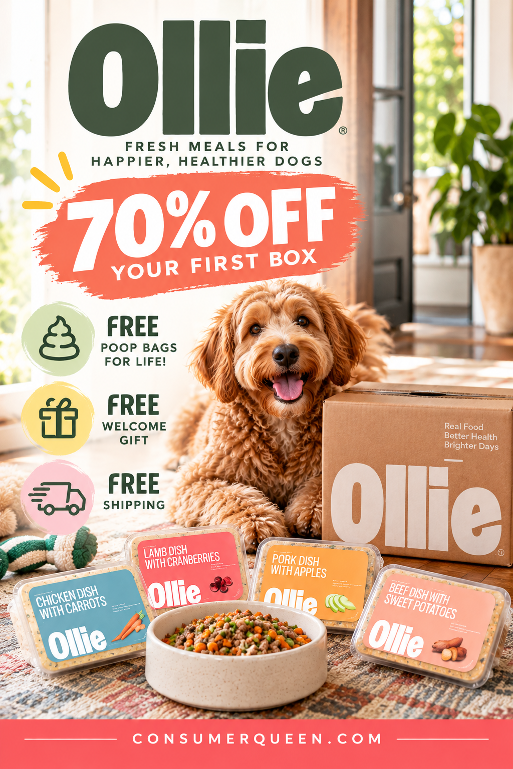 Ollie dog food 70% off first box + free gifts!