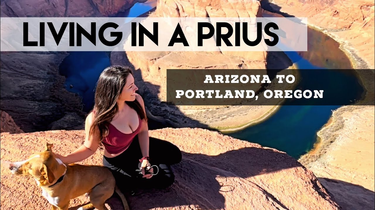I lived in a Prius for 5 days 🚗