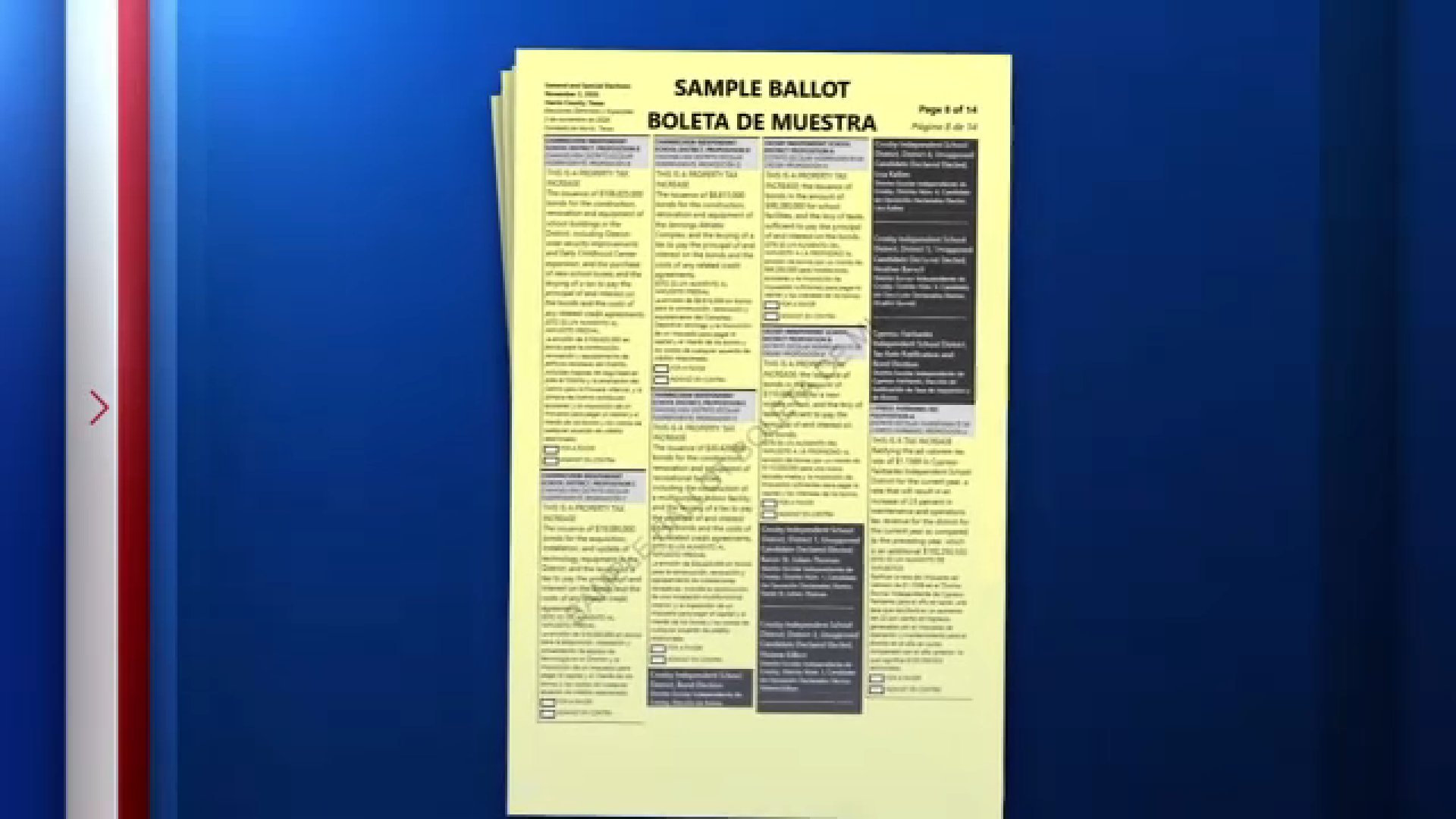 Flock cameras, tax rates, marijuana: Here are some of the policies that ...