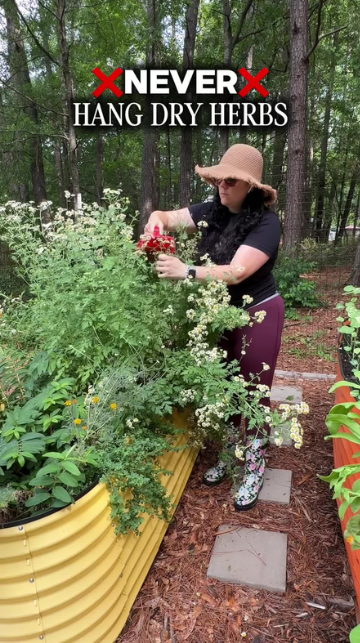 How to preserve fresh garden herbs safely at home
