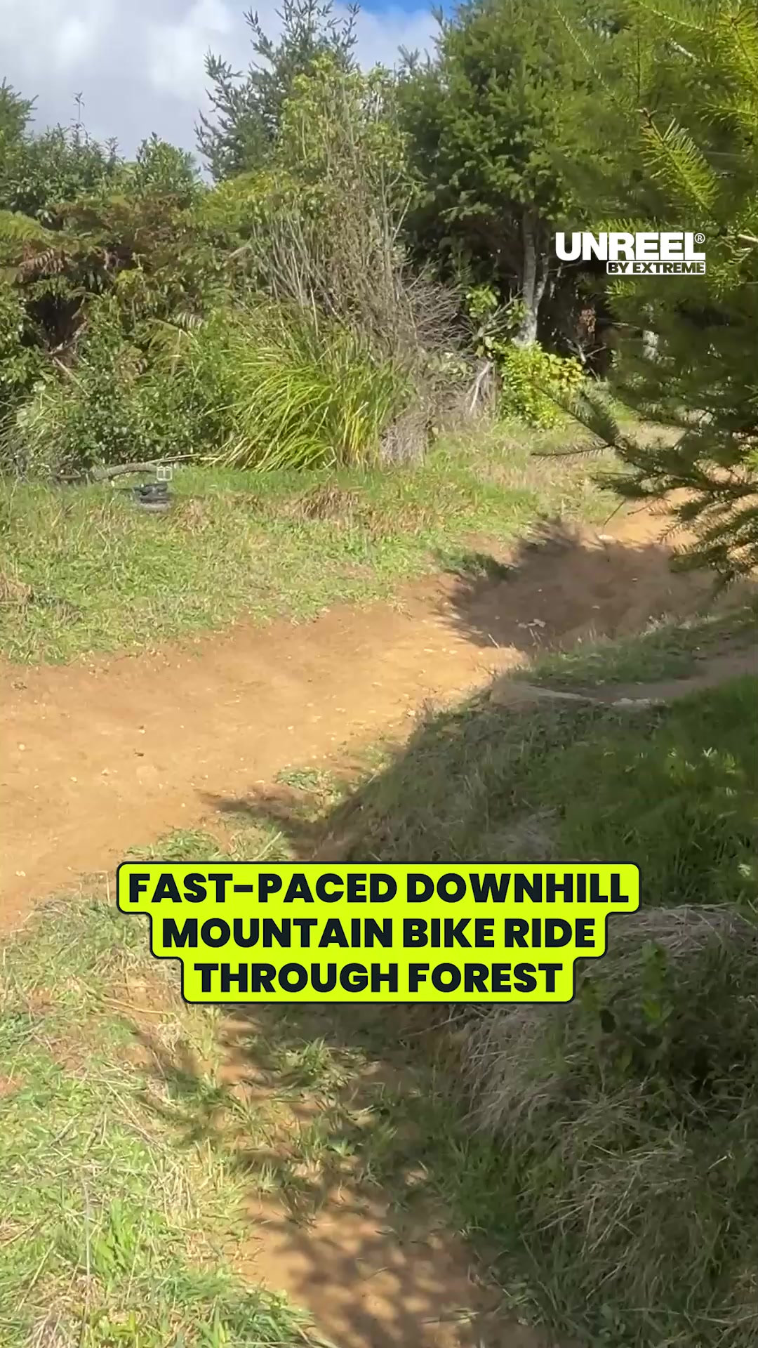 Fast downhill MTB: Shredding trail jump lines through forest dirt trails!