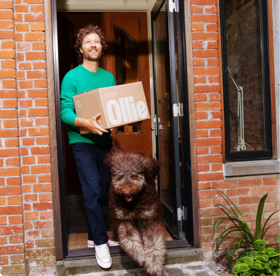 Ollie dog food 70% off first box + free gifts!