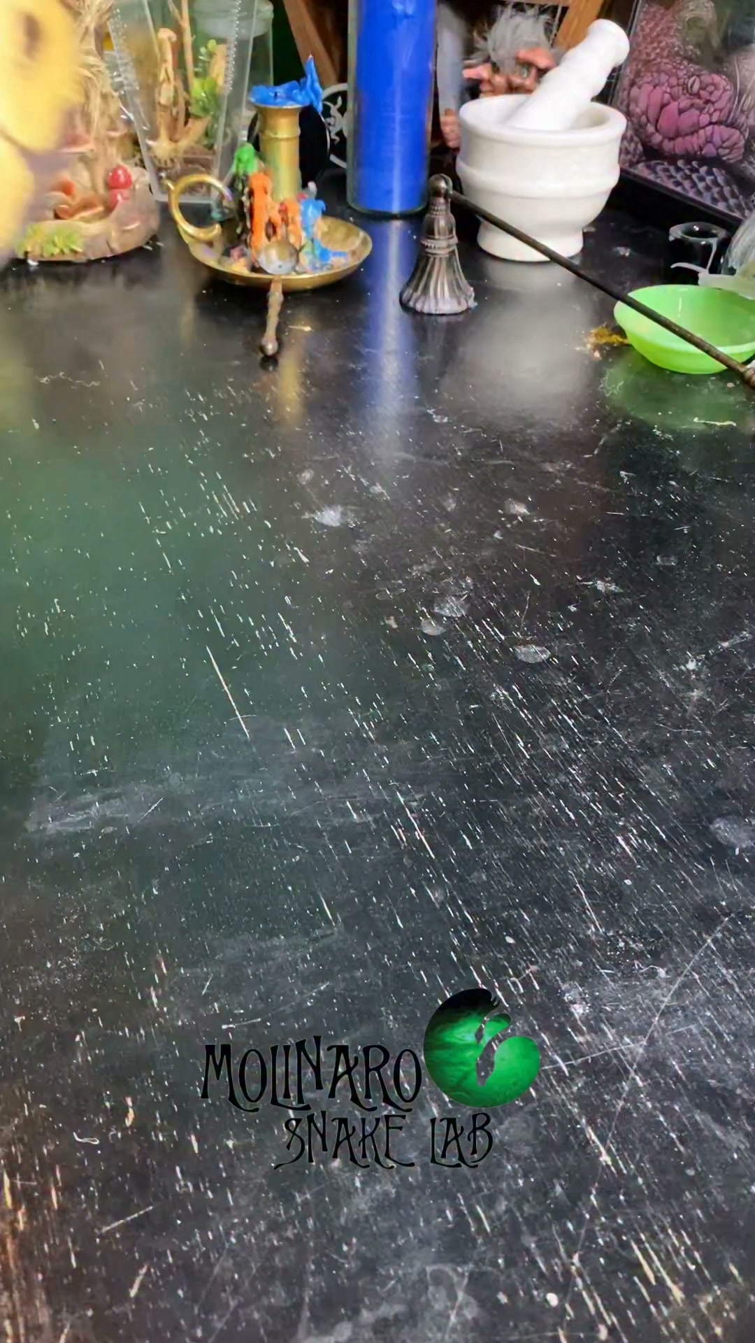 We said goodbye to two snakes!