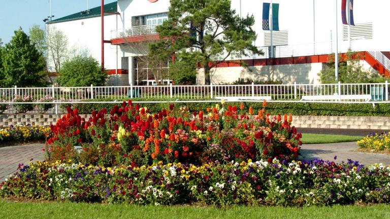 Texas racing industry looks to legislature as HISA simulcasting impasse ...