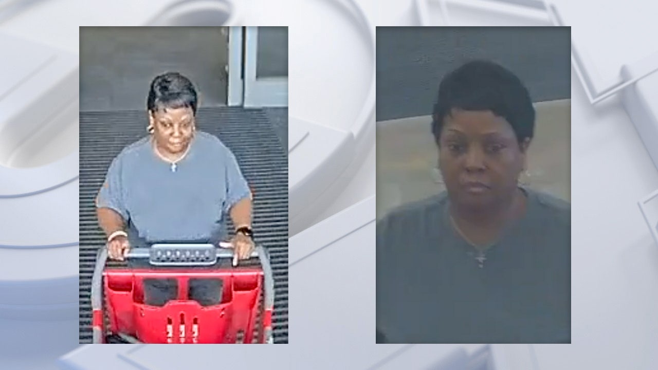 Brookfield Target retail theft, police seek suspect