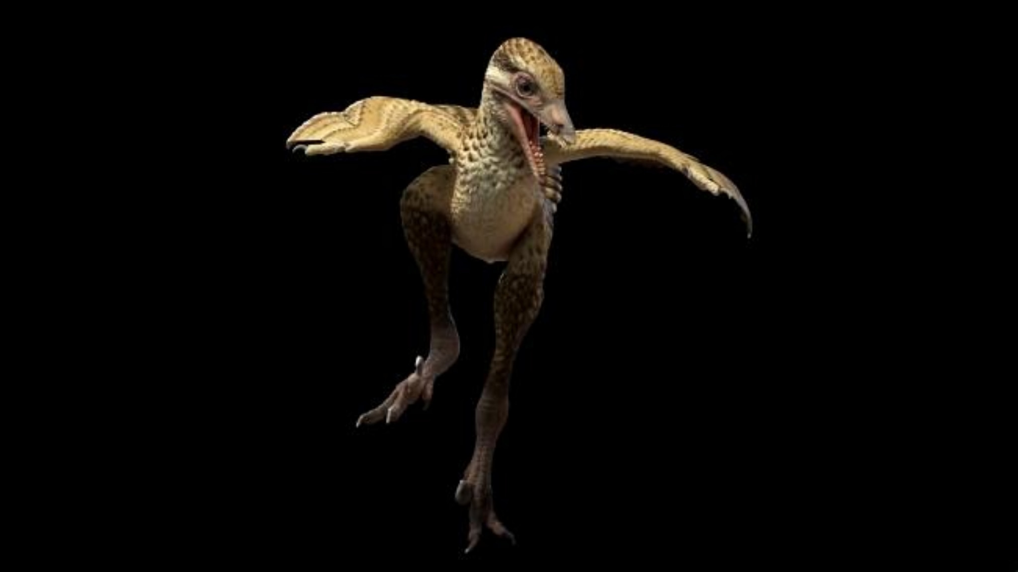 Trovato il fossile di un uccello del Giurassico: era simile a un dinosauro