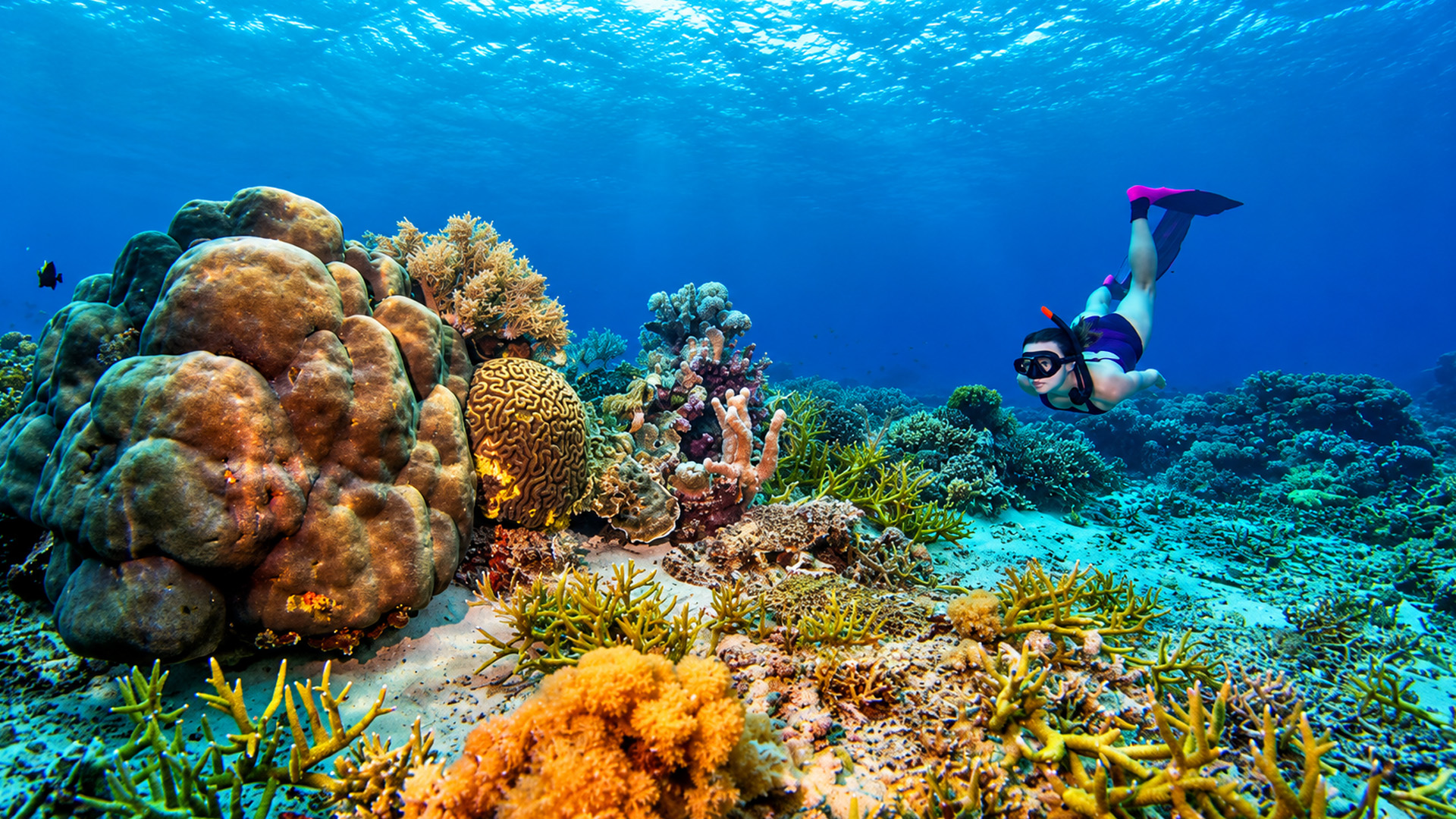 Um mundo escondido de vida marinha nas águas da Indonésia