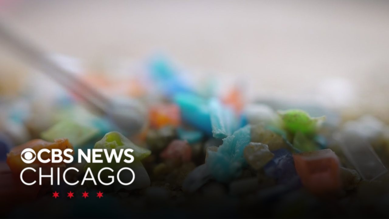 Microplastic particles can cause damage to human tissue, study finds