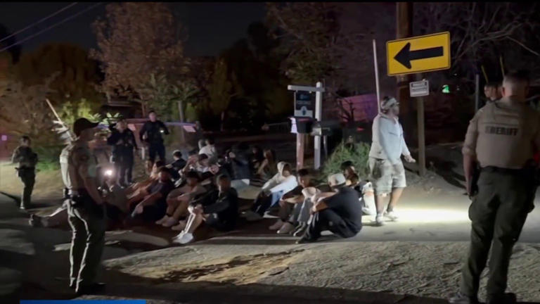 Dozens of partygoers invade, trash, and damage newly renovated Mira ...