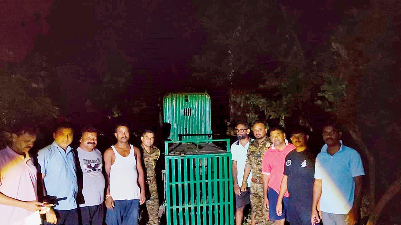 Mumbai: Palghar woman killed in suspected leopard attack