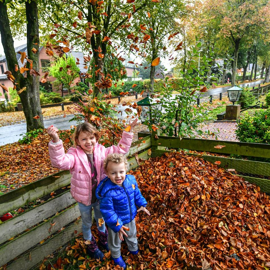 Herbstlaub in Kleve – wofür sind Anlieger verantwortlich?