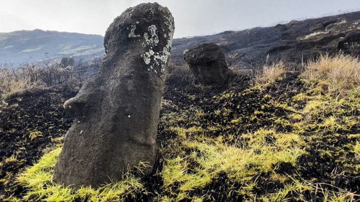 Scientists have finally solved a great mystery behind Easter Island's iconic statues