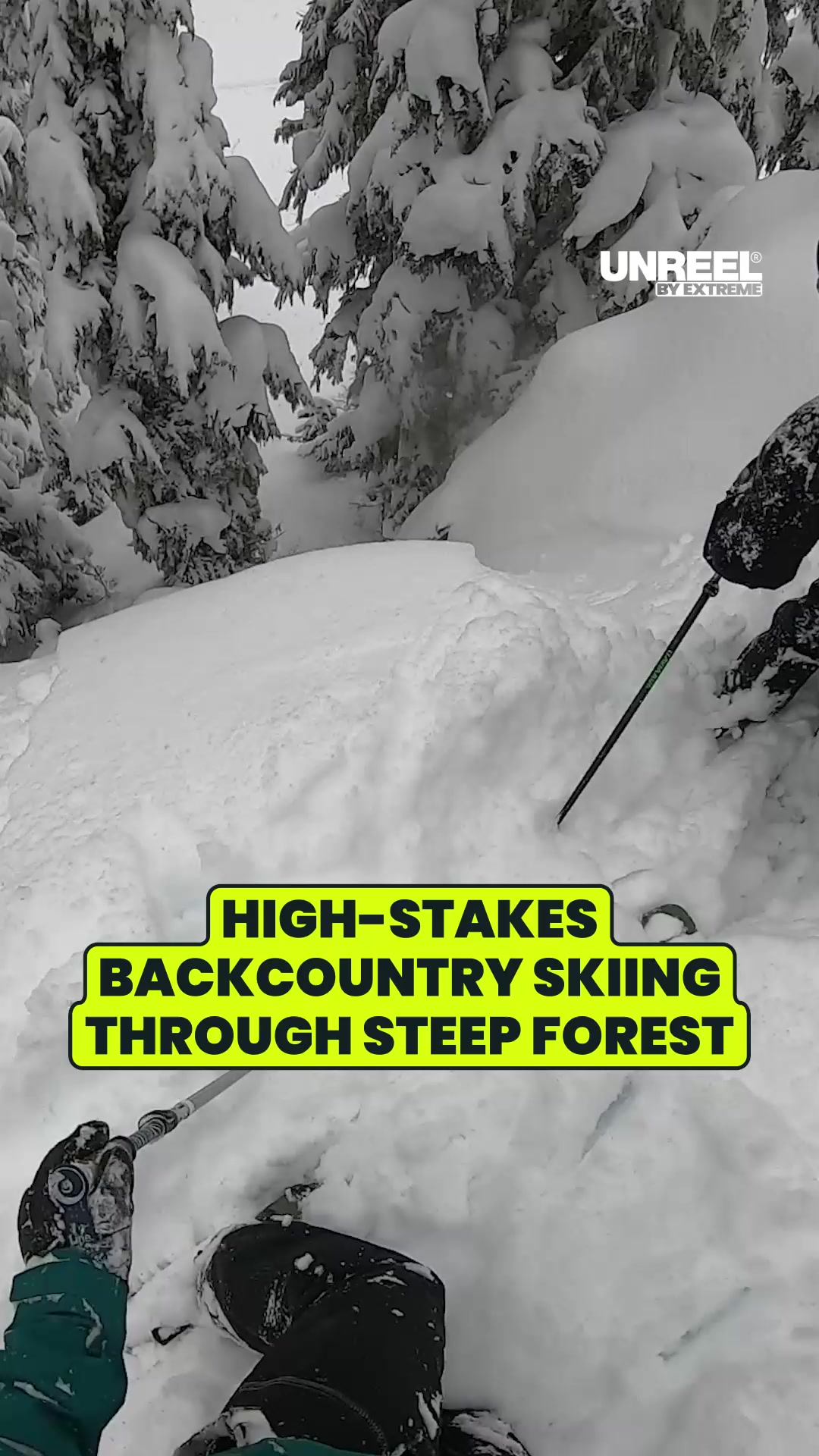 POV action: Steep tree pillow lines & deep powder backcountry skiing ...