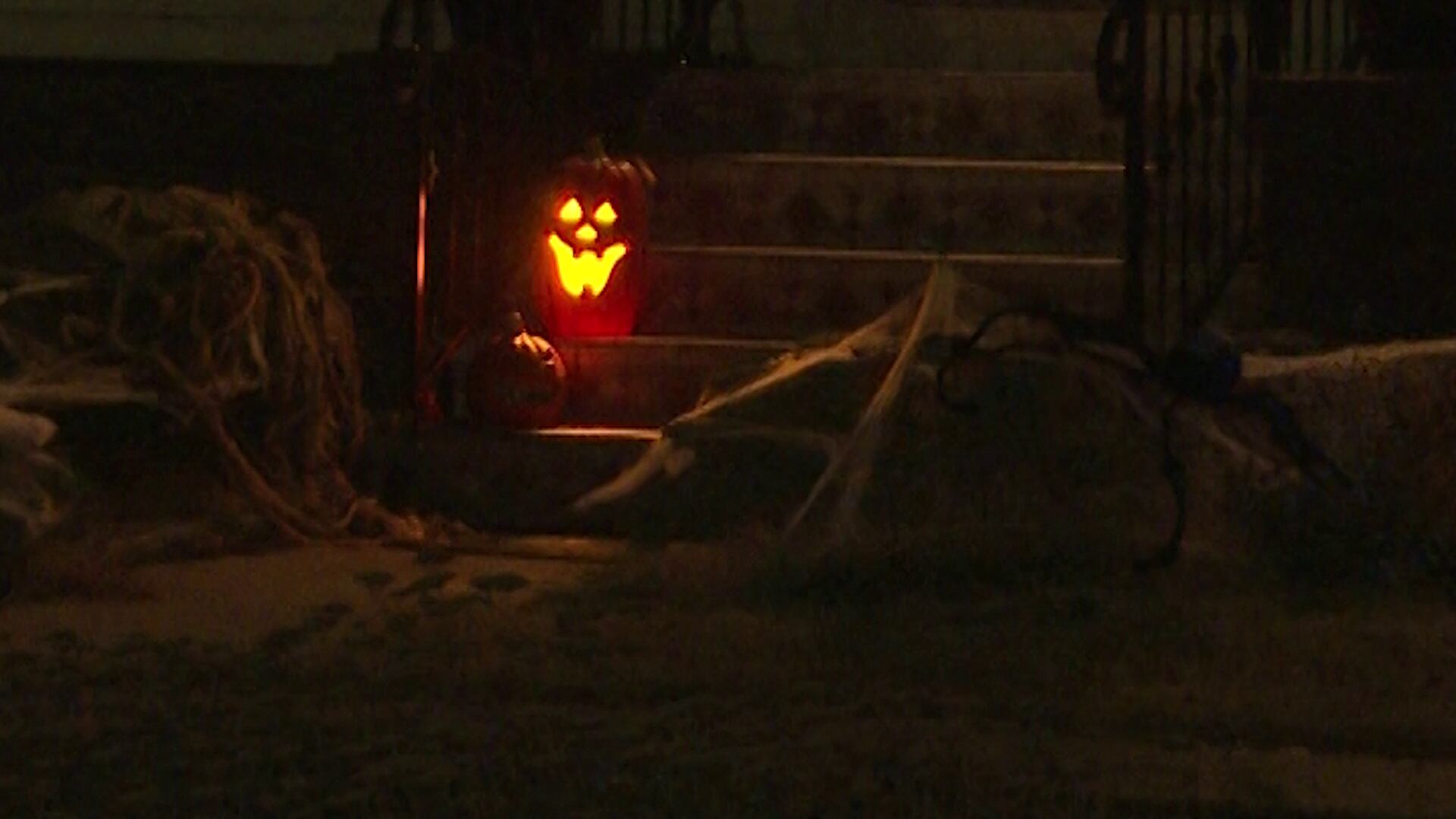 Decorating for Halloween? Experts warn of safety and wildlife hazards