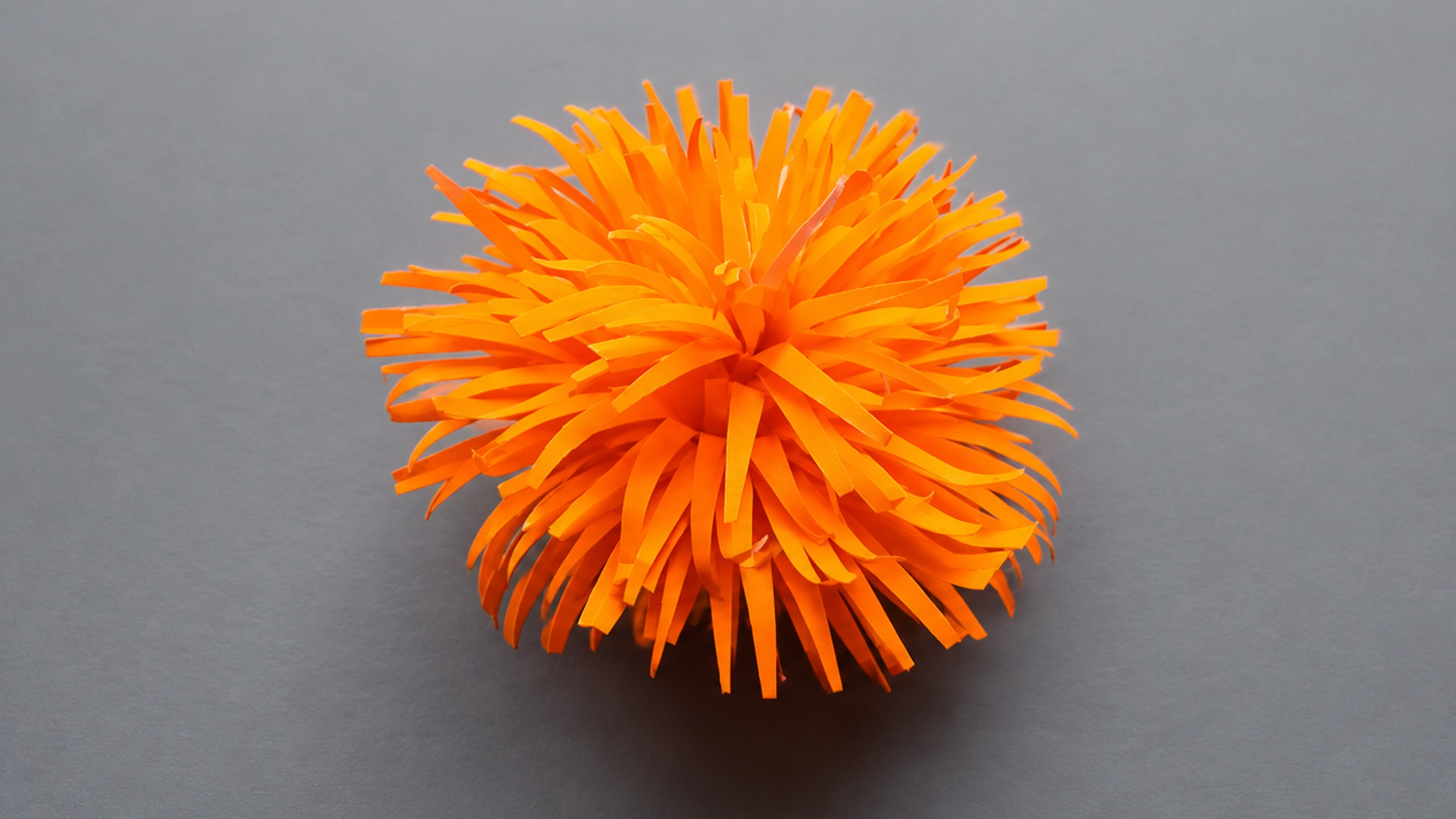 Step by step DIY paper flower crafting guide