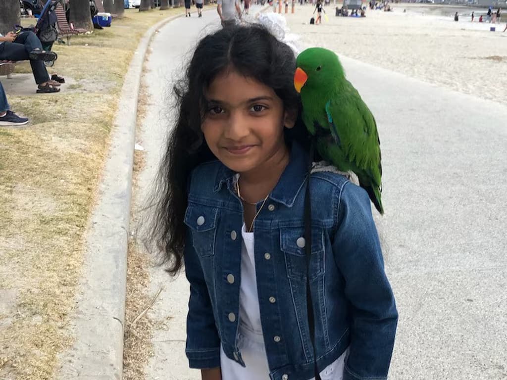 Warning signs missed as girl, 8, dies in ED