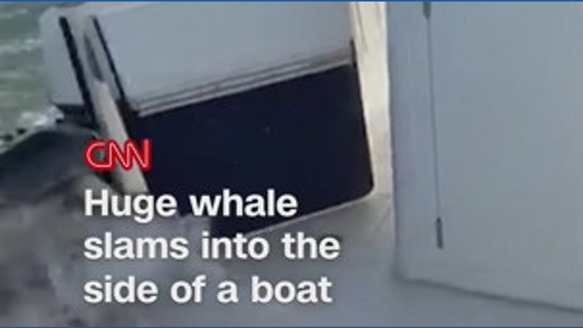 Whale crashes onto boat off the coast of Long Island