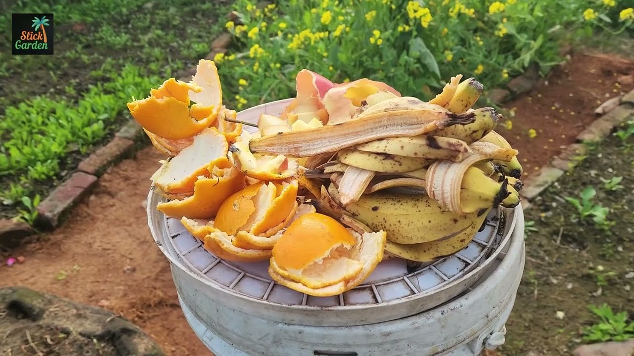 How to use fruit and vegetable peels in garden care