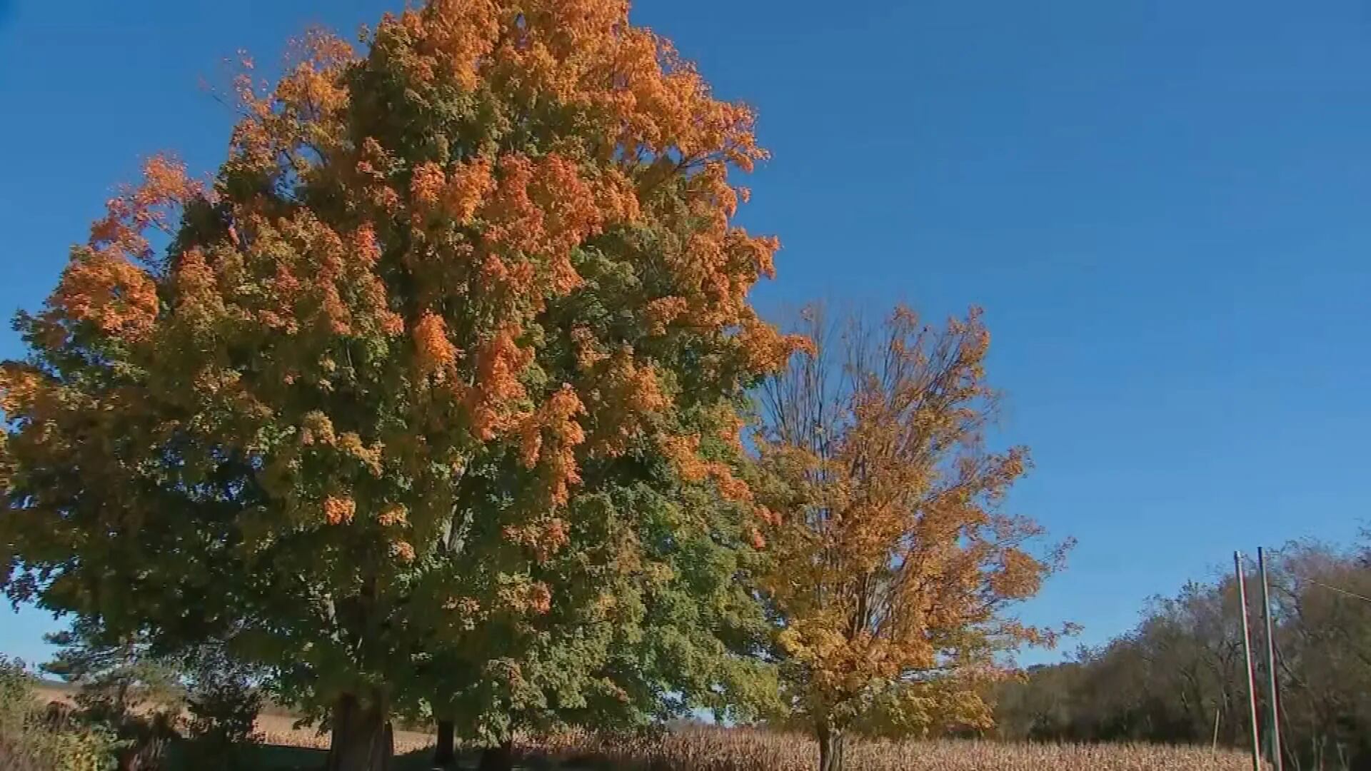 Seasonal temperatures move into Pittsburgh area in time for fall festivals