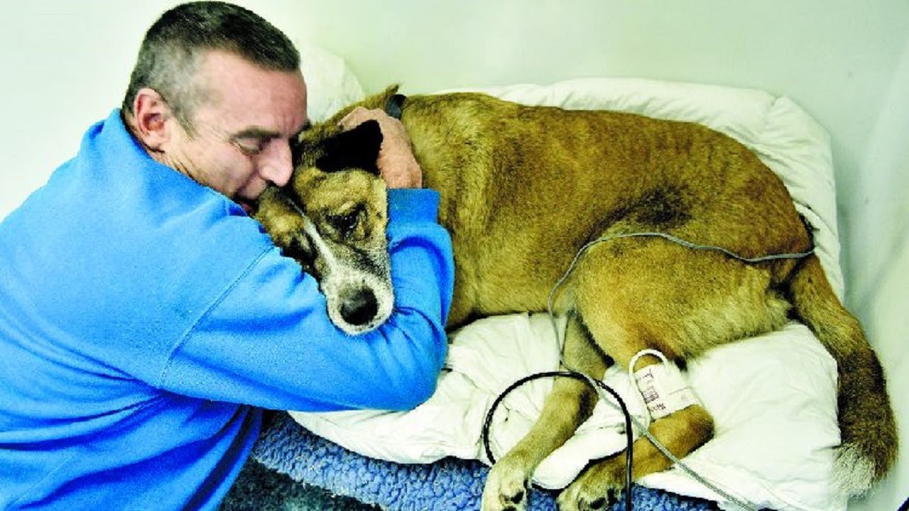 Man goes into the burning house to save his dog