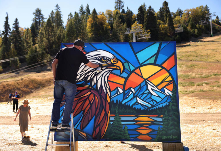 Cause of death for Jackie the bald eagle revealed; avian icon has been ...